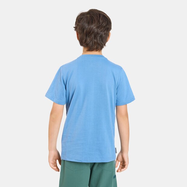 Polera Ni&ntilde;o Weinbrenner Boy Indo , AZUL