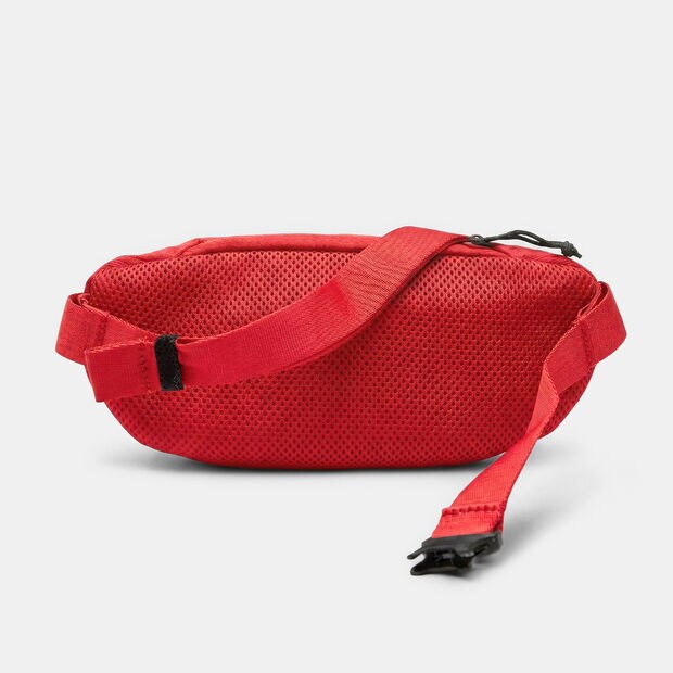 P&aacute;nsk&yacute; ledvinka Puma, červen&aacute;