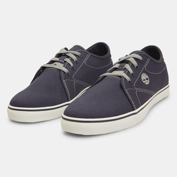 Herren-Sneaker Timberland Skape Park, Blau