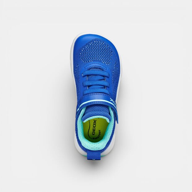 Sneaker dziecięce z paskiem Geox, niebieski