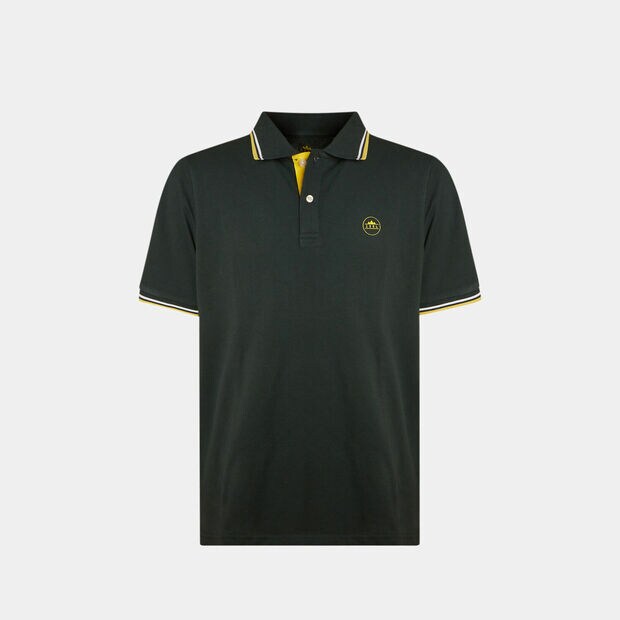 Męska koszulka polo, zielony